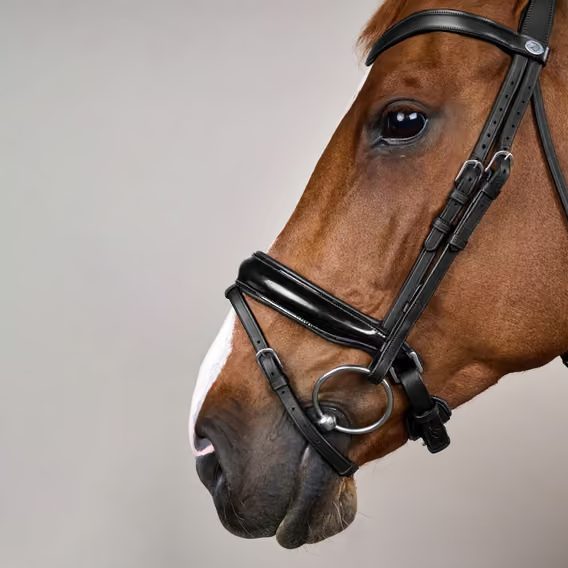 Uzdečka Dy'on Patent Large Crank Noseband Bridle With Flash WODCAN