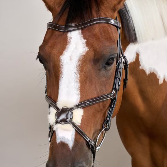 Uzdečka Dy'on Figure 8 Noseband Bridle WOAQHC