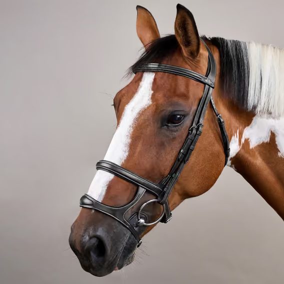 Uzdečka Dy'on Double Noseband USAAAH