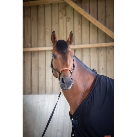 Deka lehká stájová / odpocovací Paddock Sport DOPRODEJ