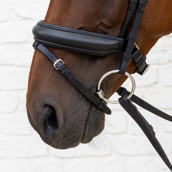 Uzdečka Dy'on Bridle Medium Noseband Soft Leather SO-10002