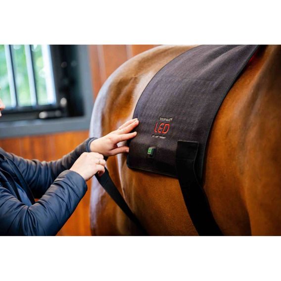 Deka Horseware® LED Red Light Therapy Pad