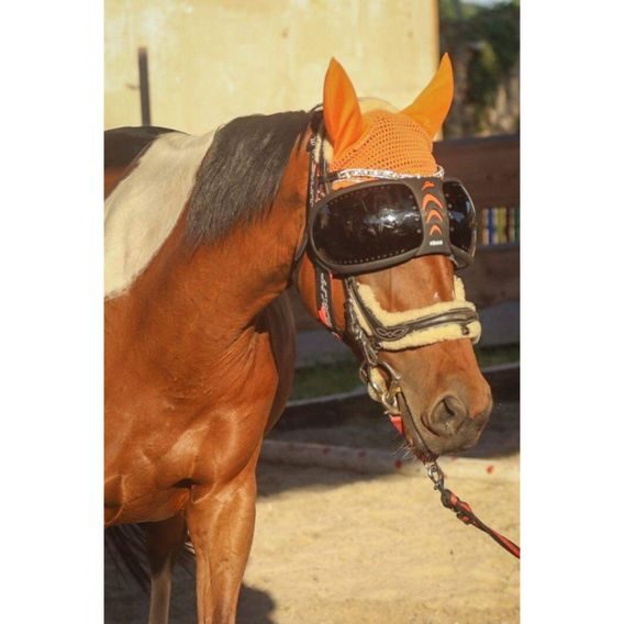 Ochrana očí Equick eVysor