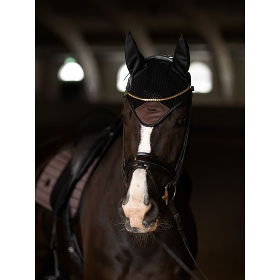 Čabraka na uši Equestrian stockholm Sportive Mocha Kolekce 2024/25