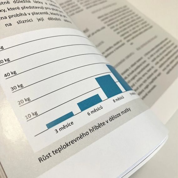 Publ Kattwinkel Hříbě od vlastní klisny - od připuštění po odstav