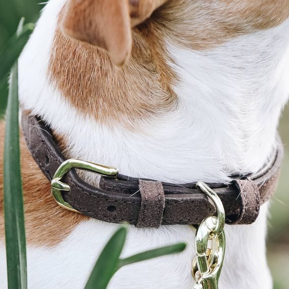 Obojek Kentucky Velvet Leather