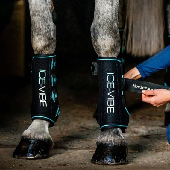Kamaše Horseware Ice Vibe pár NEW
