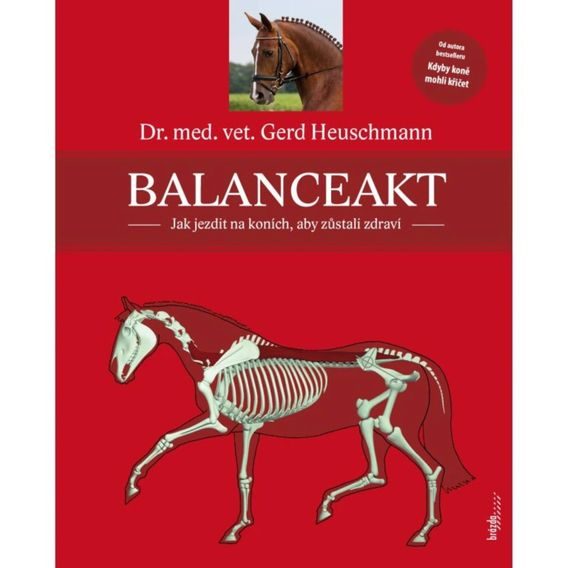 Publ Heuschmann Balanceakt
