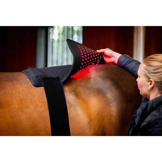 Deka Horseware® LED Red Light Therapy Pad