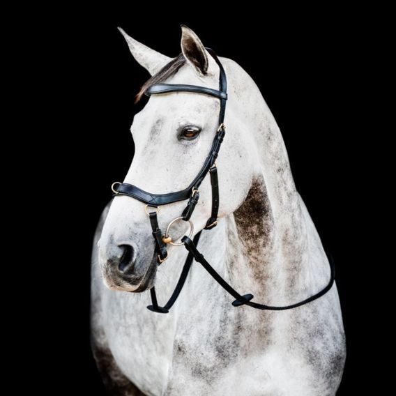 Uzdečka Horseware Micklem 2 Multi DOPRODEJ