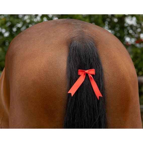 Výstražná mašle QHP červená