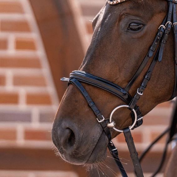 Stihlo HS NOVOCONTACT 40540xxx78 Sensogan DOPRODEJ