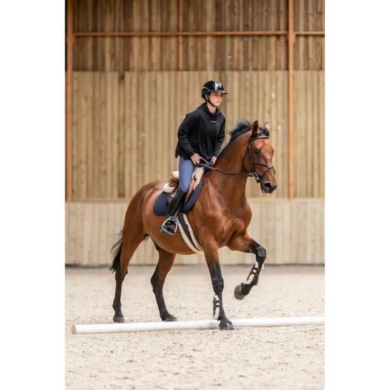 Mikina Horsepilot Team Hoodie dámská Kolekce 2025/26