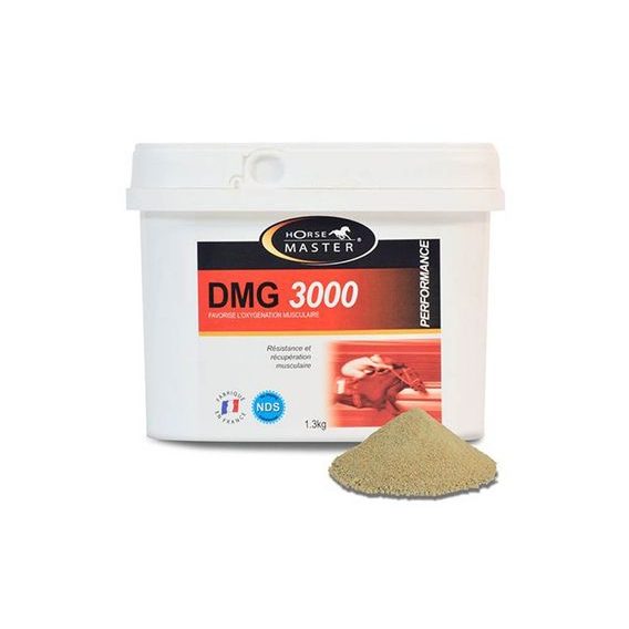 Horse MASTER DMG 3000 1,3 kg DOPRODÁNO NELZE OBJEDNAT