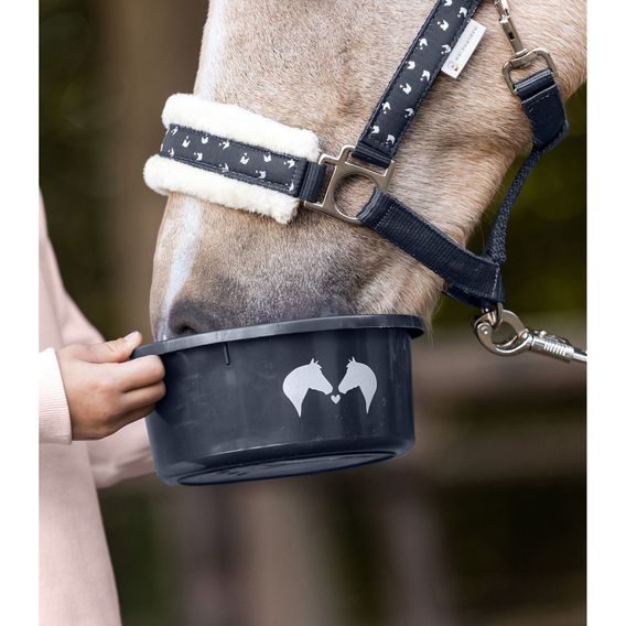 Miska na pamlsky s víkem W