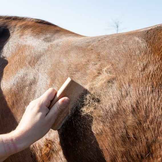 Odstraňovač chlupů Grooming Deluxe Easy brush