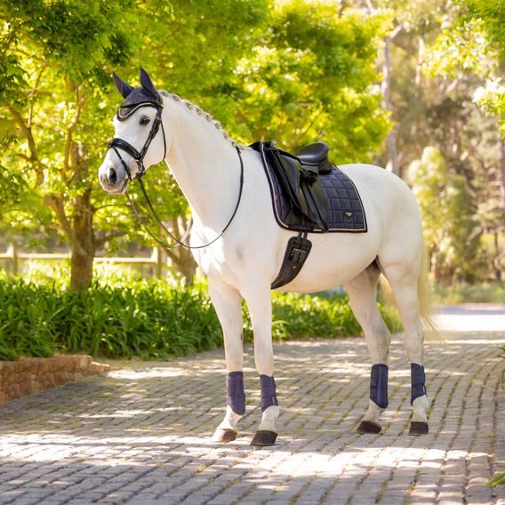 Podsedlová dečka LeMieux Loire Satin Dusk Kolekce 2025