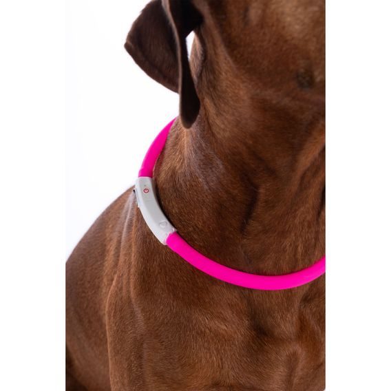 Svítící obojek pro psa HKM LED