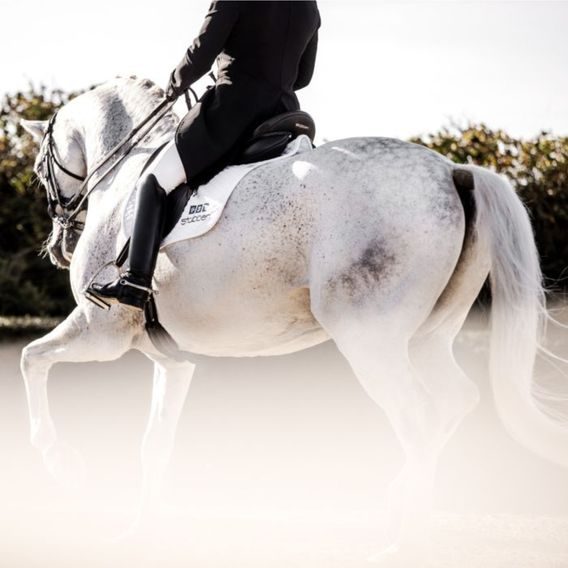 Sedlo drezurní Stübben Centurion II AKCE-50% OUTLET