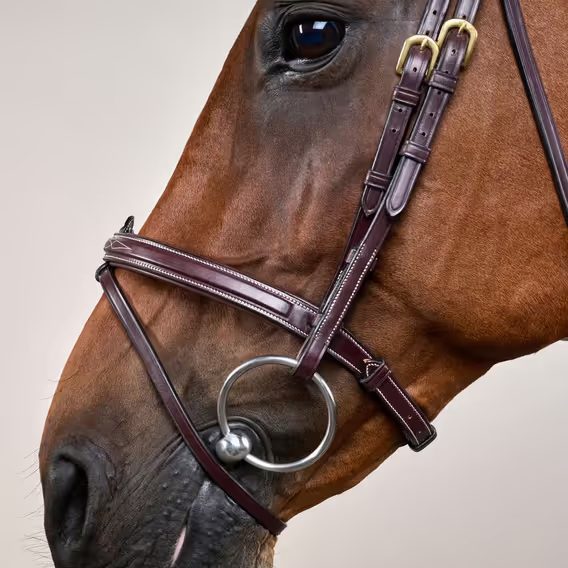 Uzdečka Dy'on Flash Noseband DYAAAA