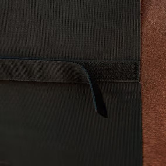 Ochranný pás Kentucky Belly Band