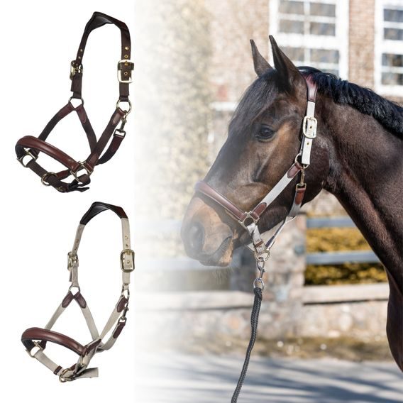 Ohlávka HKM Luna nylon/kůže