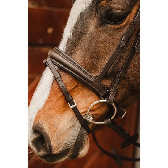 Uzdečka Cassini Stone s otěžemi švéd. nán.