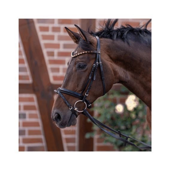 TEST Stihlo HS NOVOCONTACT 40540xxx78 Sensogan DOPRODEJ