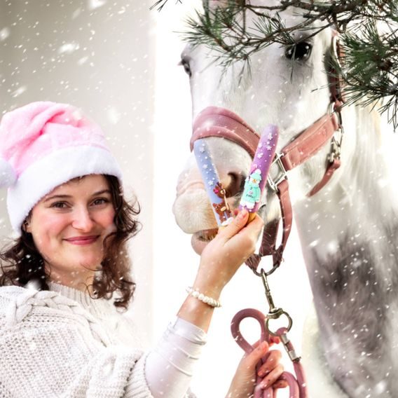 Pamlsky Candy Horse Tyčinky Christmas 6ks 375g