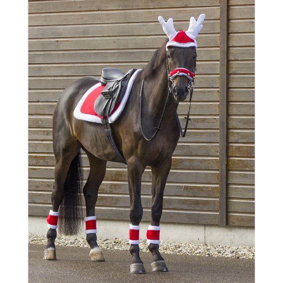 Podsedlová dečka QHP Christmas KOLEKCE