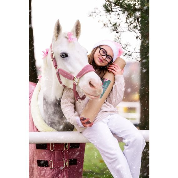 Kousací dřevěná hračka pro koně Candy Horse Christmas Reindeer Chew