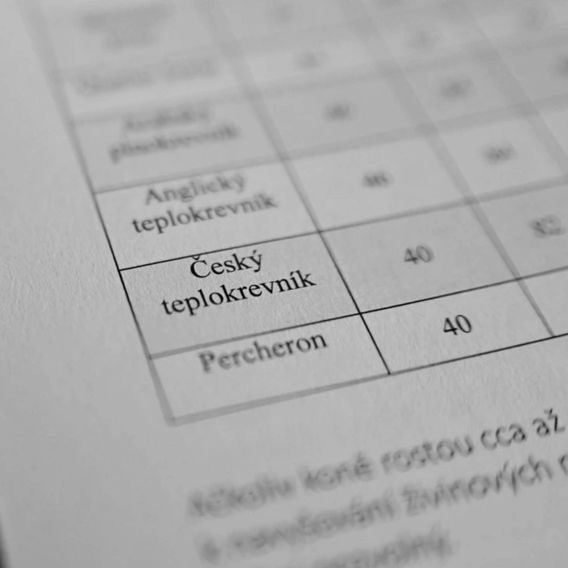 Publ Krmení koní Kompletní výživové požadavky - rozšířený dotisk