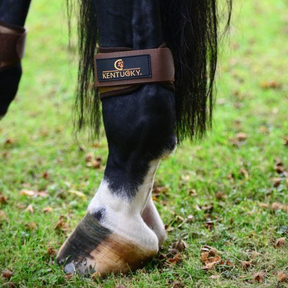 Strouhačky Kentucky Young 88299