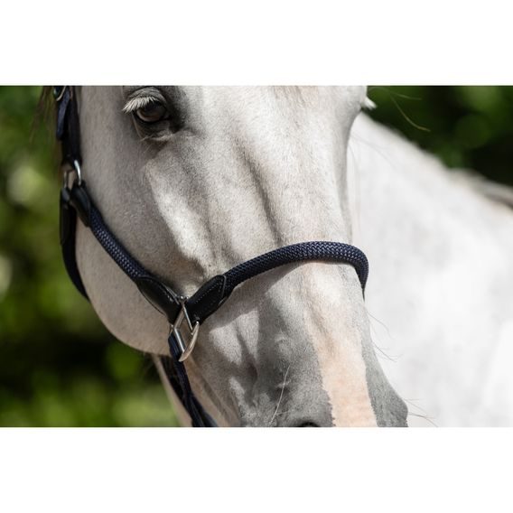 Ohlávka HKM Carlotta