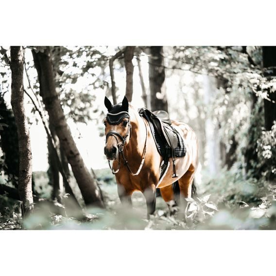 Podsedlová dečka Kentucky Pearls