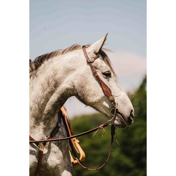 *W* Uzdečka a poprsník Cassini Flowers