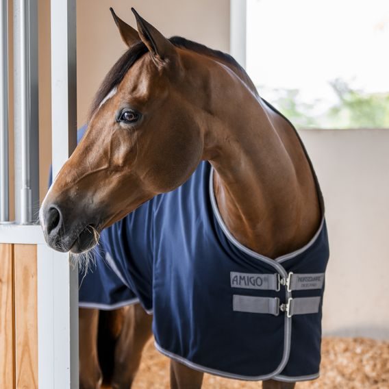 Deka lehká stájová Horseware Amigo