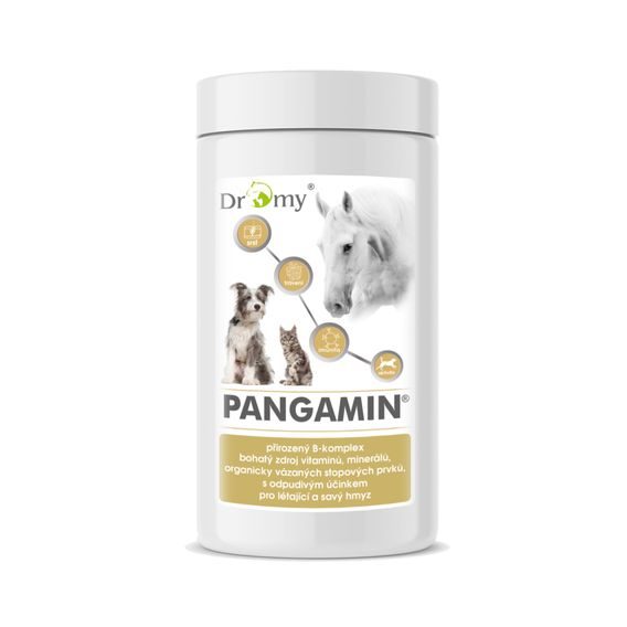 Dromy Pangamin® 2000 tbl.