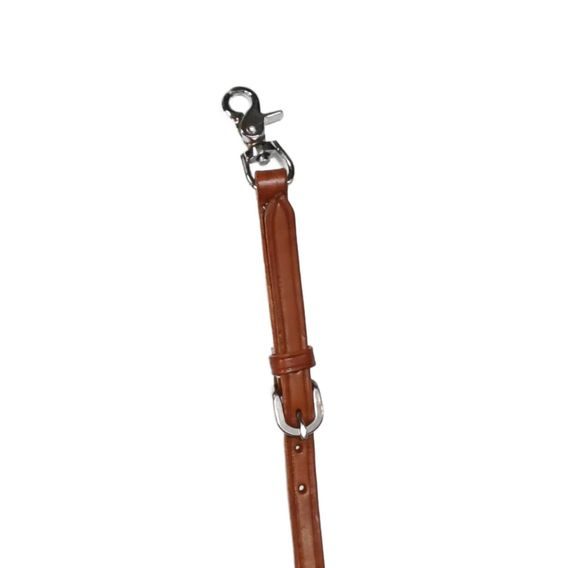 *W* Poprsník Cassini Doil