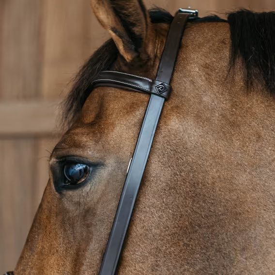 Uzdečka Dy'on Training Bridle WOXXII
