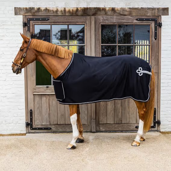Odpocovací deka Kentucky Prize Giving Cooler Fleece