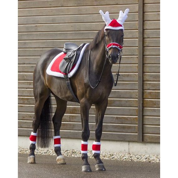 Potah QHP Christmas sada 2ks
