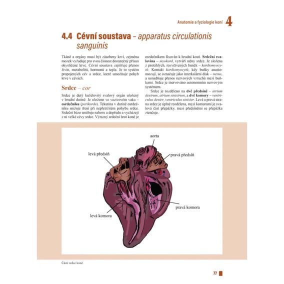 Publ doc. Ing. Miroslav Maršálek, CSc. - Praktický chov koní