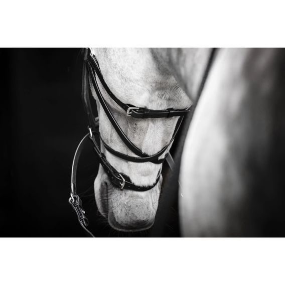 Uzdečka Horseware Micklem Bitless