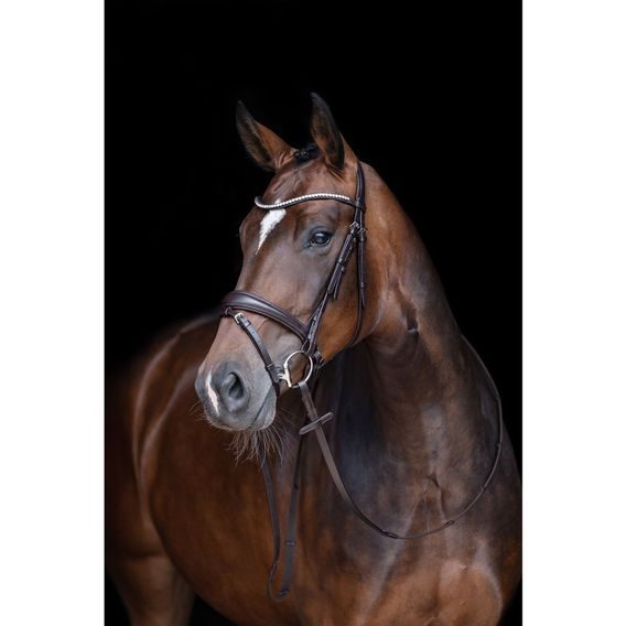 Uzdečka HKM Melinda švédský nán. kombi