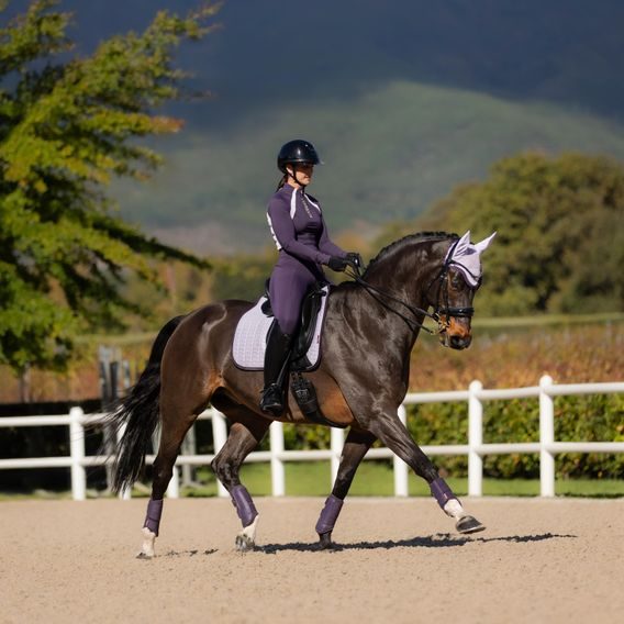 Podsedlová dečka LeMieux Suede Square Lilac Kolekce 2025/26