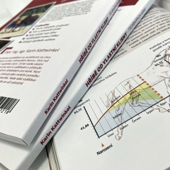 Publ Kattwinkel Hříbě od vlastní klisny - od připuštění po odstav