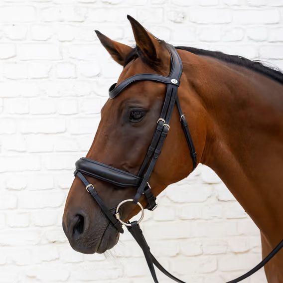 Uzdečka Dy'on Bridle Medium Noseband Soft Leather SO-10002
