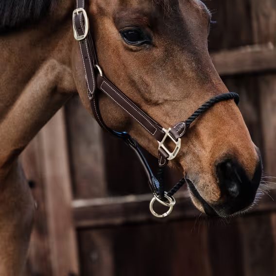 Ohlávka Kentucky kožená s provazovým nánosníkem
