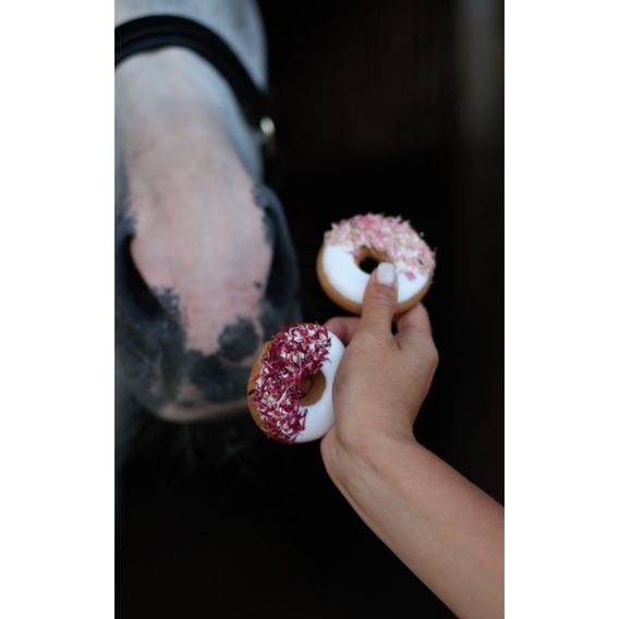 Pamlsky Candy Horse Donut s bylinkami 85g 2ks